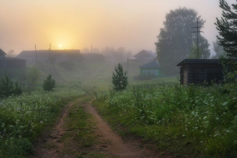 Туманно в Сырьянахphoto preview