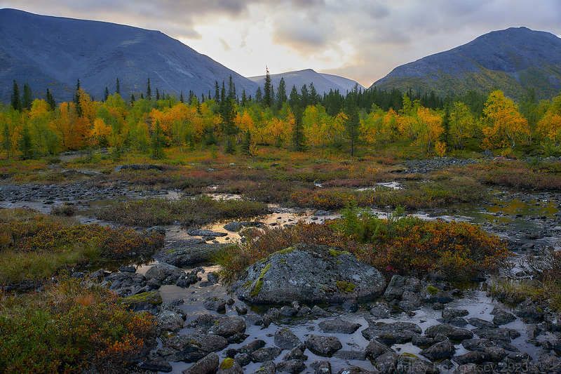 кольский полуостров, хибины, осень Хибины фото превью