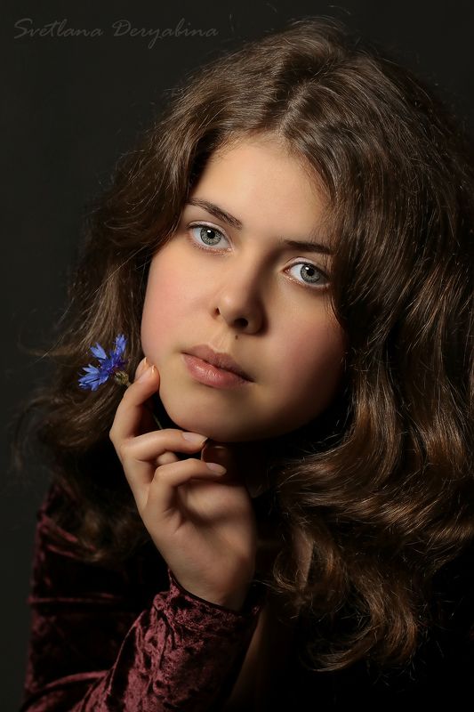 Василькиphoto preview