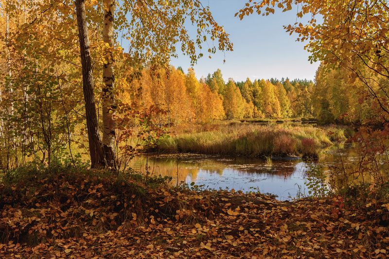 Снова рыжая осень...photo preview