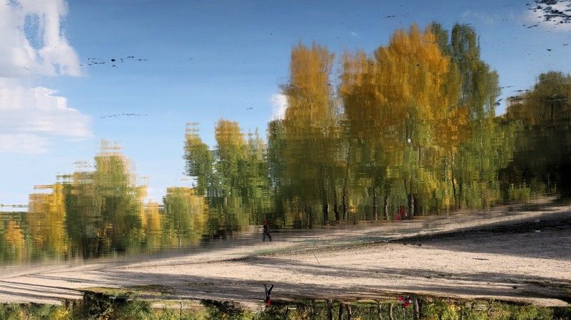 отражение,осень,река,обь Отражение в реке Обьphoto preview