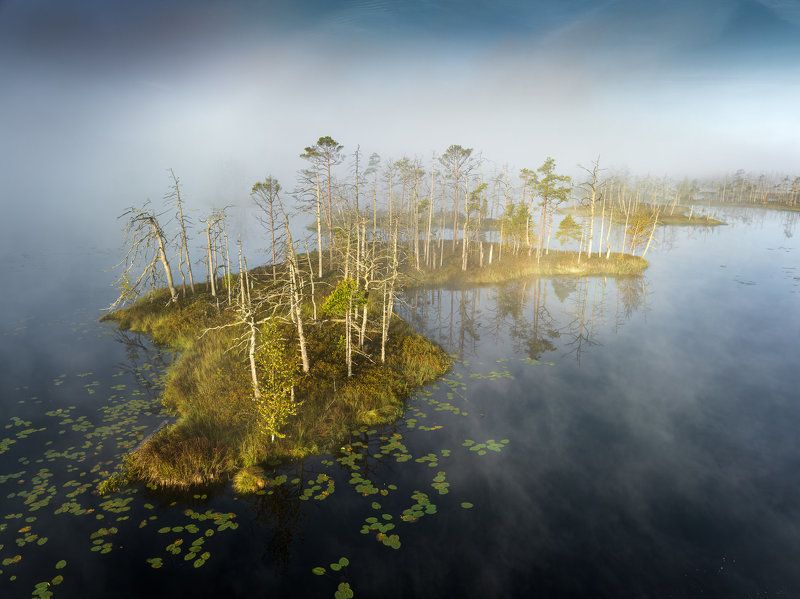 Утро на болоте. Сентябрьphoto preview