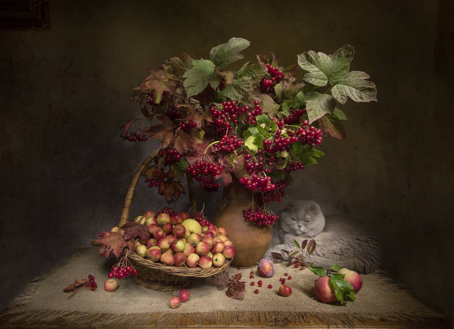 Осеннее настроение. Автор: Татьяна Феденкова натюрморт, калина, райские яблочки,к кот, шотландский, вислоухий, Татьяна Феденкова