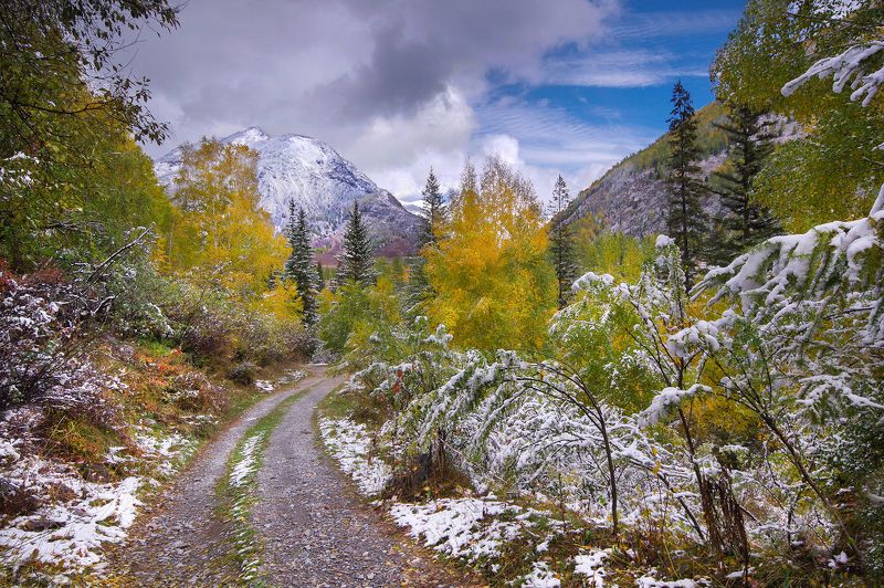 алтай, осень, снег, горы Снежная осеньphoto preview