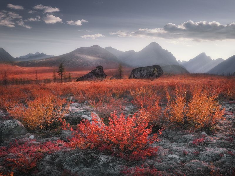 Выпас каменных поросятphoto preview