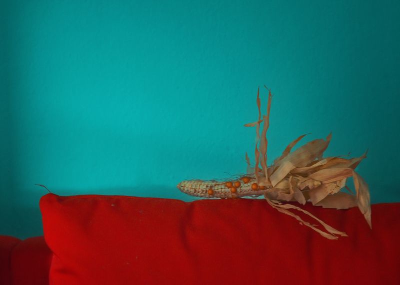 #photography #art #conceptualart #youtube #nftphotography #still life #fine art Autumn naturemortphoto preview