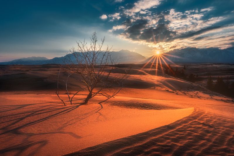 Чарская пустыня, Чара, пейзаж, mountains, Кодар, пустыня, горы, Забайкалье, бархан, песок, landscape, desert Однажды в пустынеphoto preview
