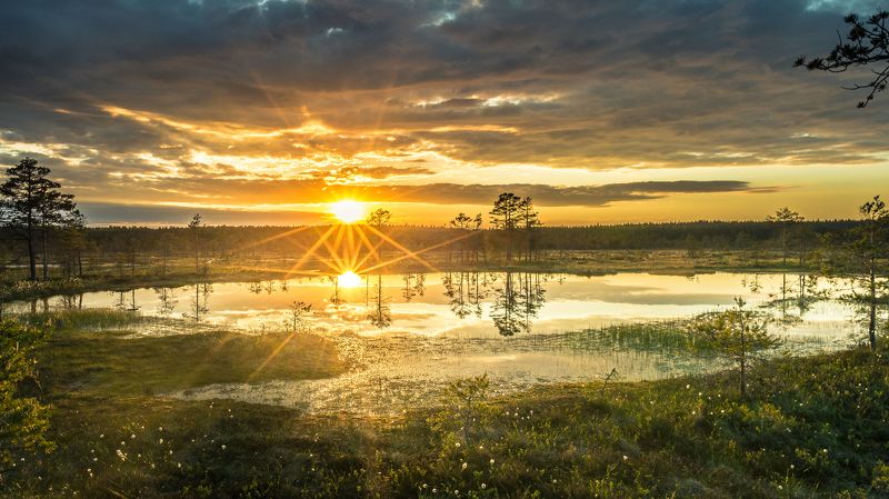 #harjumaa, #kõnnusuursoo, #eesti, #estonia, #estoniabogs, #swamp, #eestirabad, #bog, #bogs, #nature, #loodus, #eestiloodus, #ilusadeestipaigad, #visitestonia, #burningsky, #terviserajad, #hikingtrails, #hikingtrail, #sunsetphotography, #sunsetphoto, #sun ***photo preview