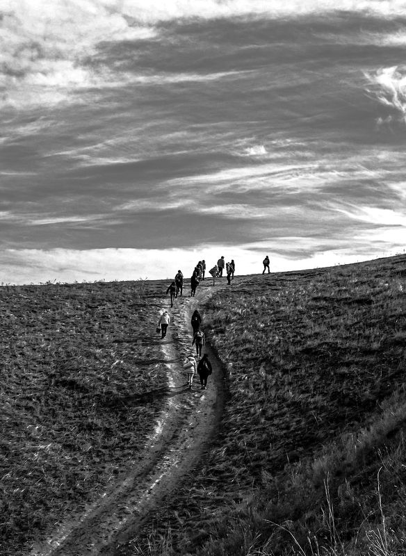 шаварёв, арт, Дорога в небоphoto preview