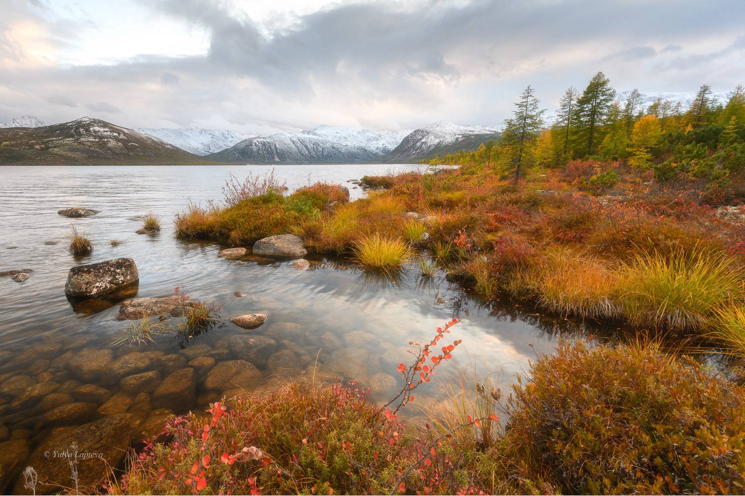 "Яркие краски осени". Автор: Юлия Лаптева колыма, озеро джека лондона, магадан, магаданская область, лиственницы, путешествие по россии, золотая осень на колыме, Юлия Лаптева