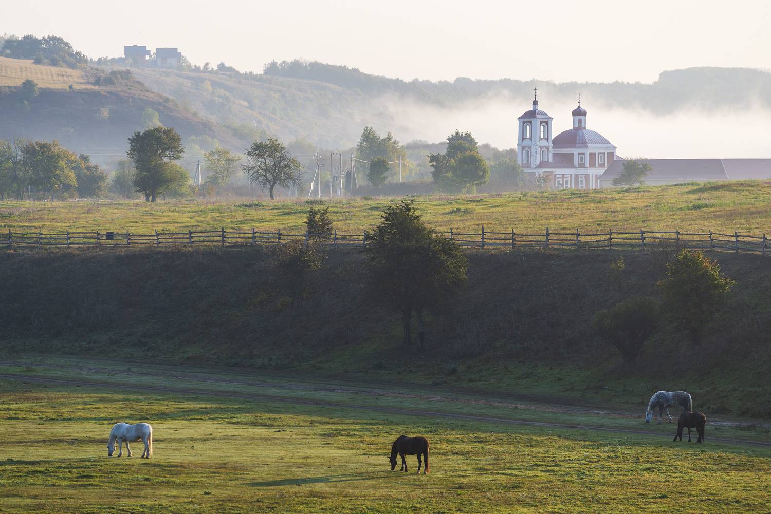Утренняя идиллия. Автор: Дмитрий Новоселов , Дмитрий Новоселов