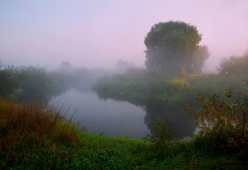воронеж, боровое, усманка, туман, рассвет, синий час, река, пейзаж, воронежская область, сентябрь *photo preview