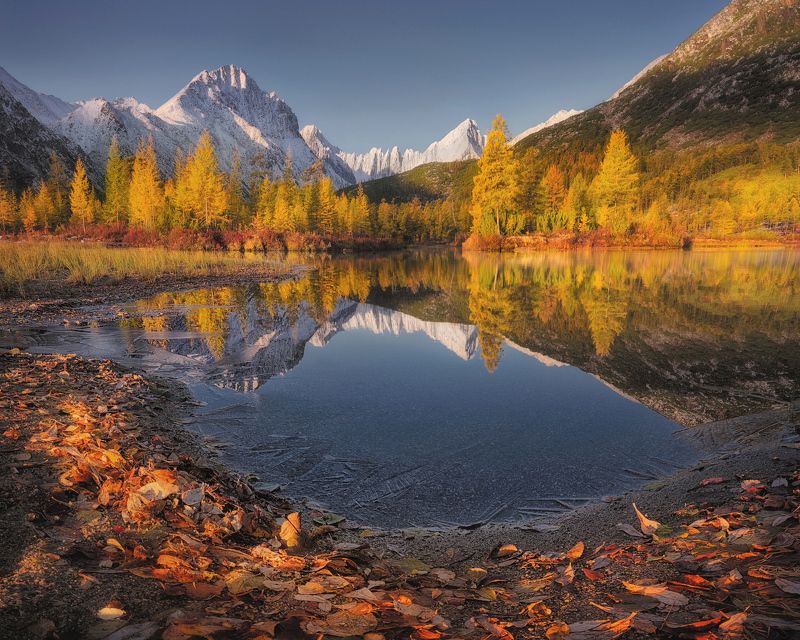 Осенние отраженияphoto preview