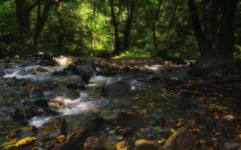 Горные ручьи.photo preview