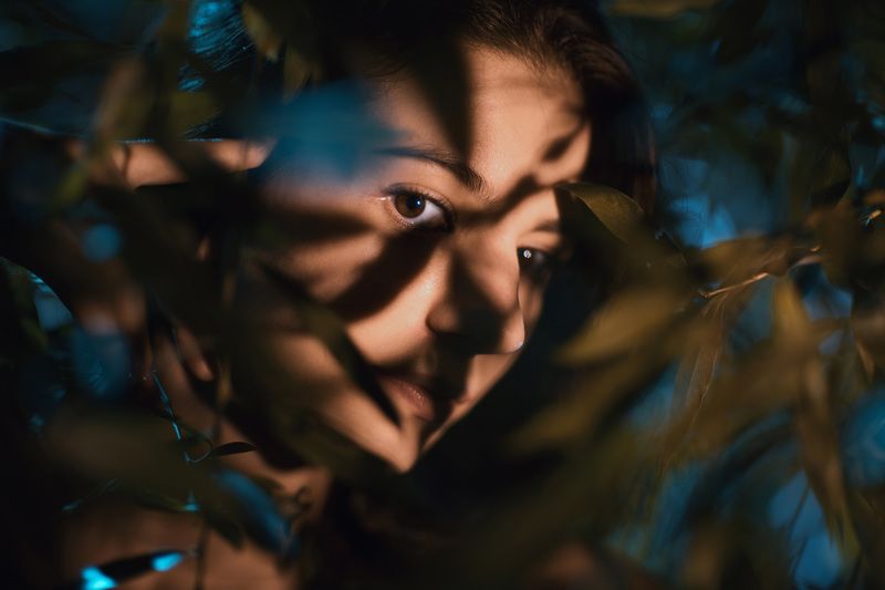 Гипотеза Карпманаphoto preview