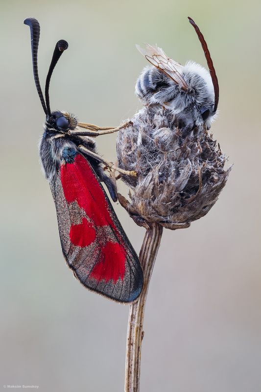 Разные но вместеphoto preview