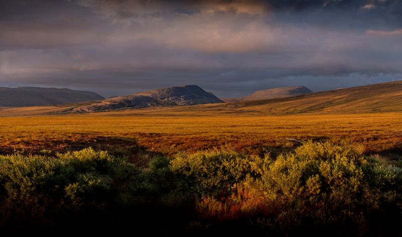 чукотка, тундра, нд, chukotka, tundra, арктика, чукотка нд, осень, что такое осень? Просторы чукотской тундрыphoto preview