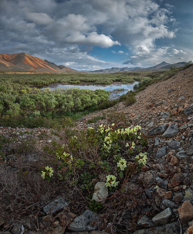 Чукотка 2023photo preview