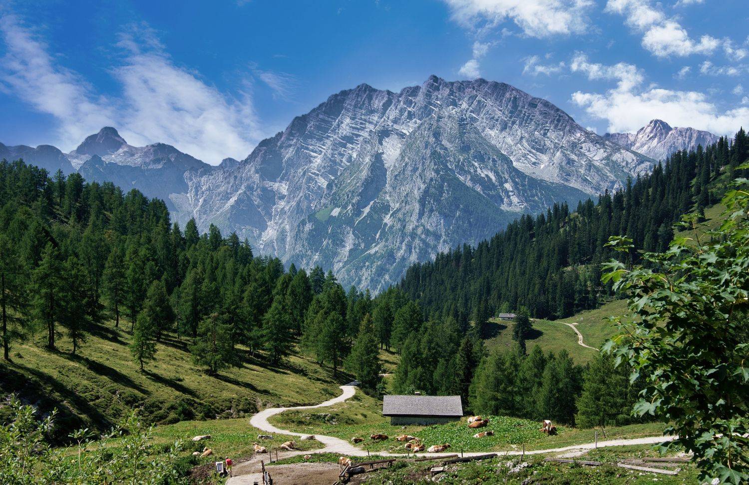 Bavarian Alps. Автор: VIktor , VIktor
