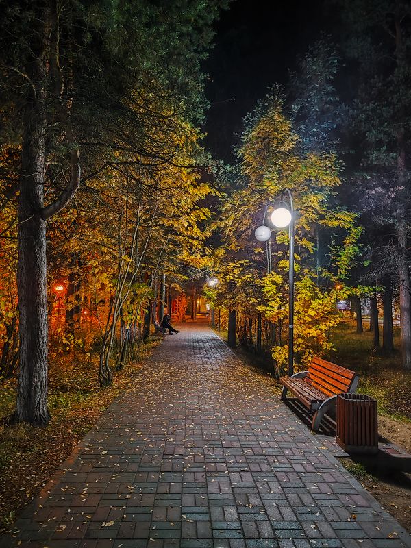 печора, коми, осень В вечернем паркеphoto preview