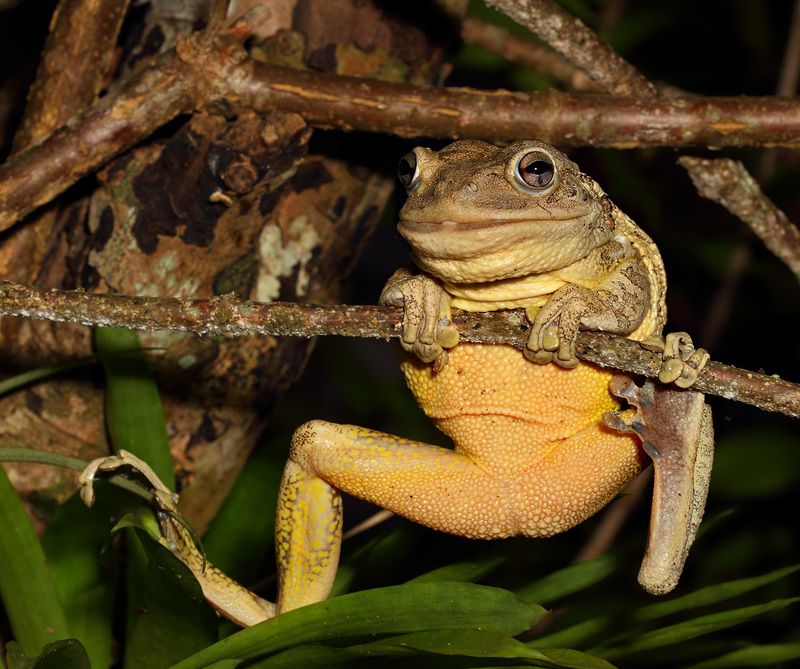 Гимнастphoto preview