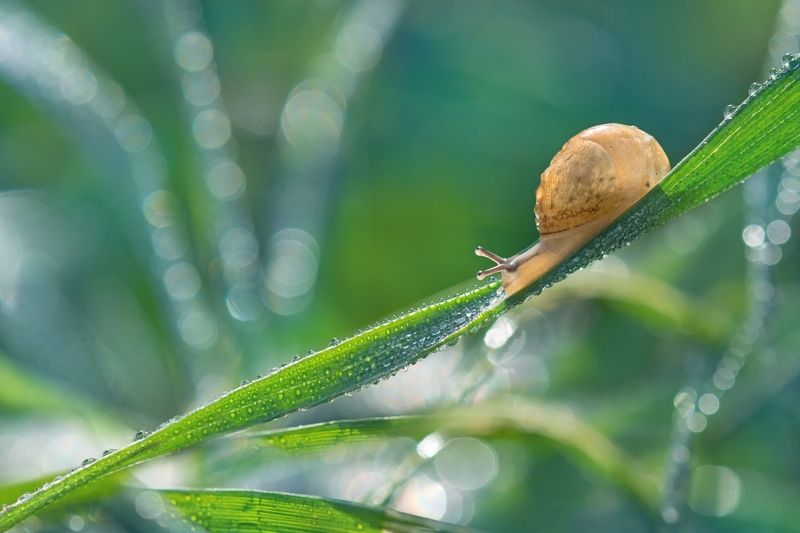 В сияньи апрельского утра...photo preview