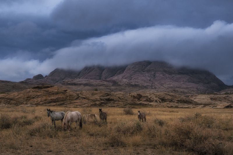 Бектау-Атаphoto preview