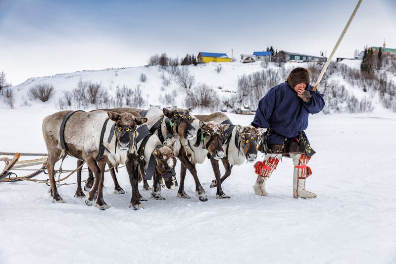 * * * фото превью