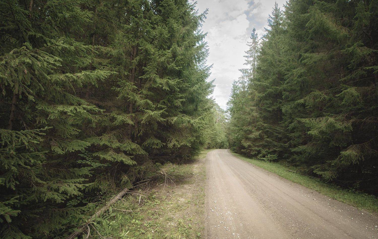 , Павел Дунюшкин