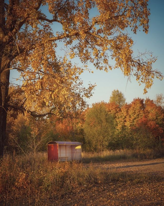 Остановка Осеньphoto preview