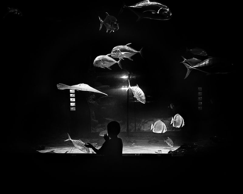 Мечтами о море...photo preview