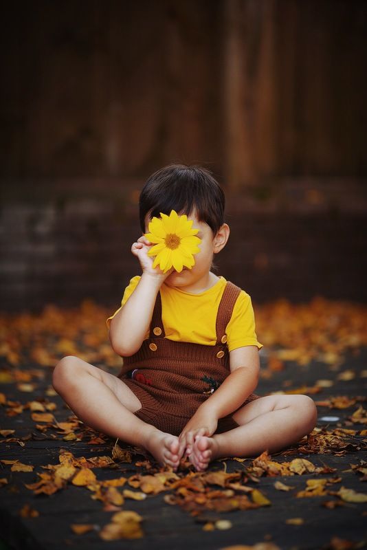 цветок, осень, сентябрь photo preview