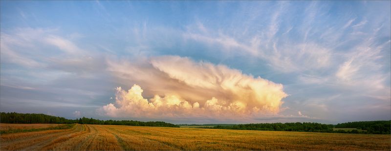 пейзаж, осень, поле, небо, свет, цвет, вечер, александр никитинский Осенний вечер...photo preview
