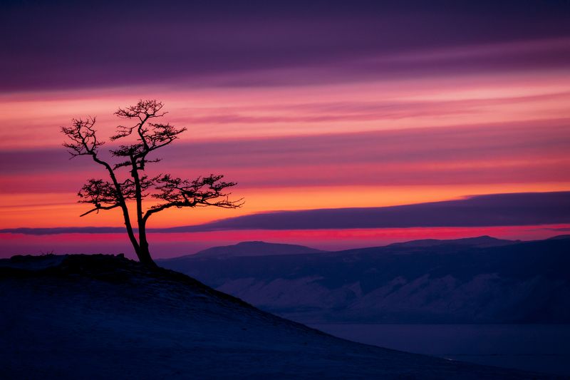 Portfoliophoto preview