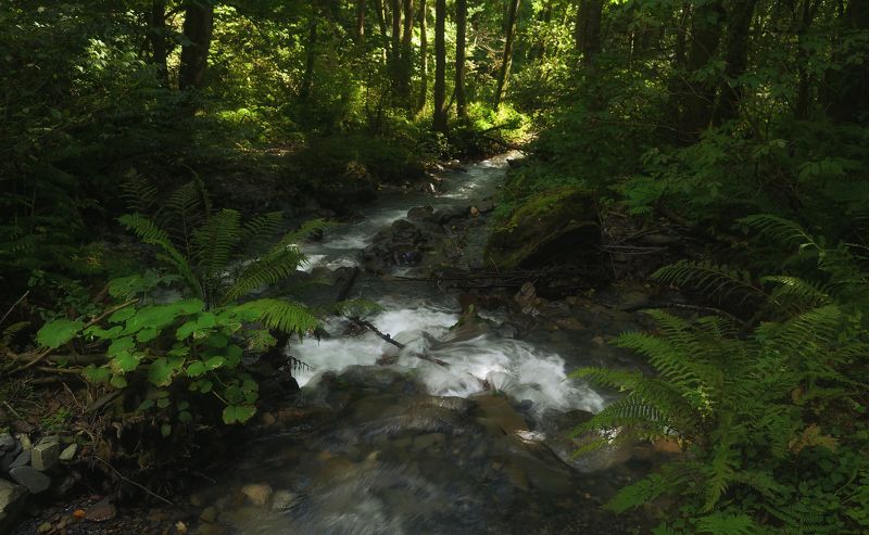 У реки.photo preview