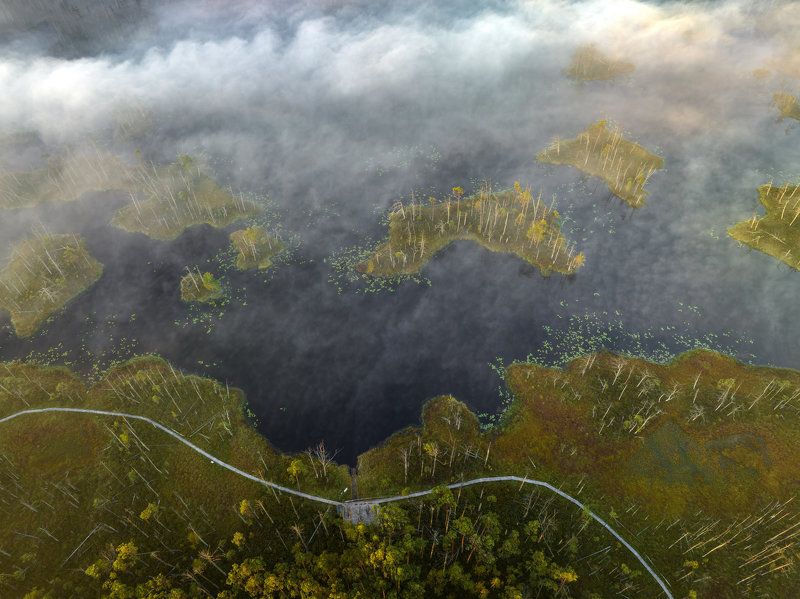 #tireli, #болото, #утро, #туман, #рассвет Утро на болоте. Сентябрьphoto preview