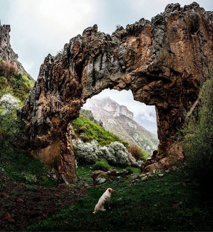 В горах Арменииphoto preview