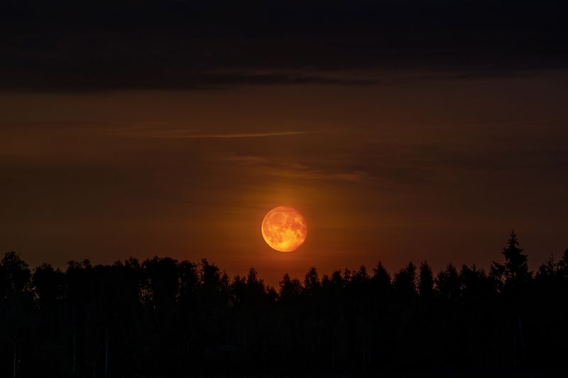 луна, ночь, красная луна, лес, природа Краснолуниеphoto preview