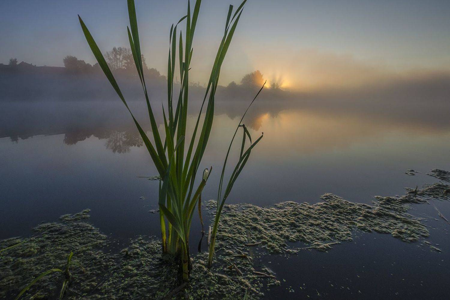 утро, рассвет, архангельское, Михаил Агеев