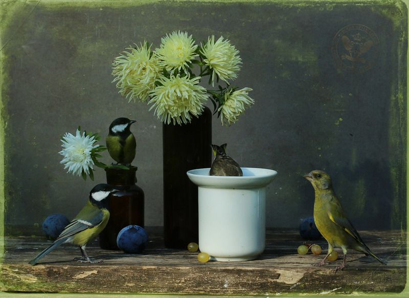 Ожиданиеphoto preview