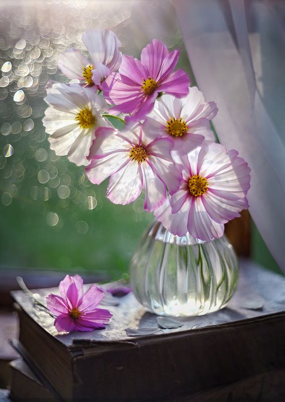 Букетик космеиphoto preview