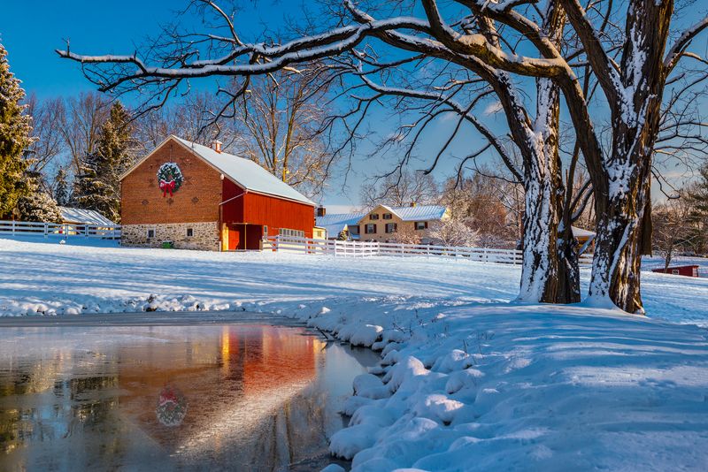 Season\'s Greetingsphoto preview