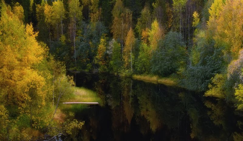 лес, деревья, кусты, трава, река, осень, вечер, отражения Осенняя рекаphoto preview