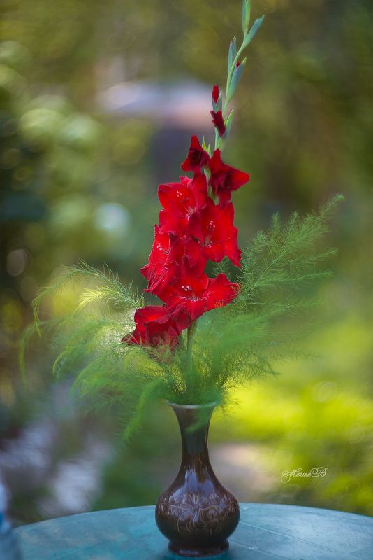 натюрморт, гладиолус, красный, лето, дача Величественный красныйphoto preview