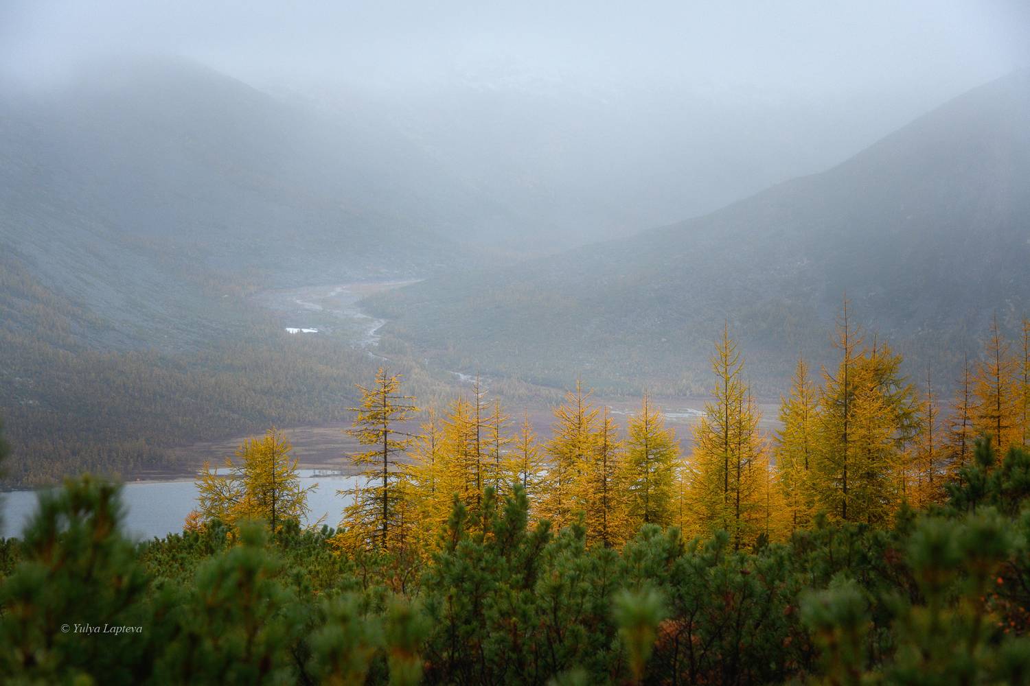 колыма, озеро джека лондона, золотая осень, магаданская область, Юлия Лаптева