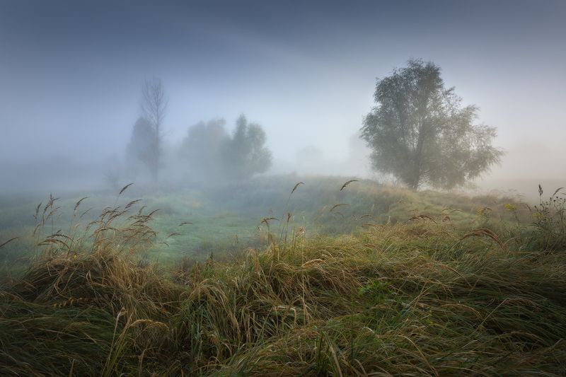 Утро ранней осени фото превью