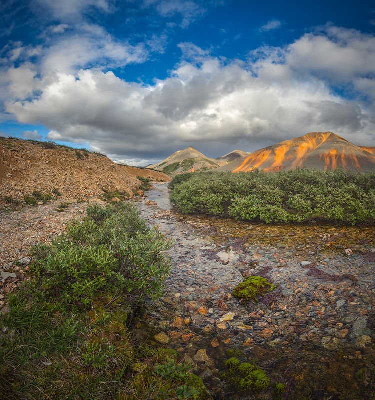 Чукотка 2023photo preview