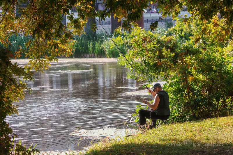 фрейминг, сентябрь, рыбалка 2023, рыбалка, рыбак, осень, обрамление снимка, обрамление деревьями, контровый свет, везёлка, белгородчина, live for the story, kwanon photo, framing, Рыбацкое место фото превью