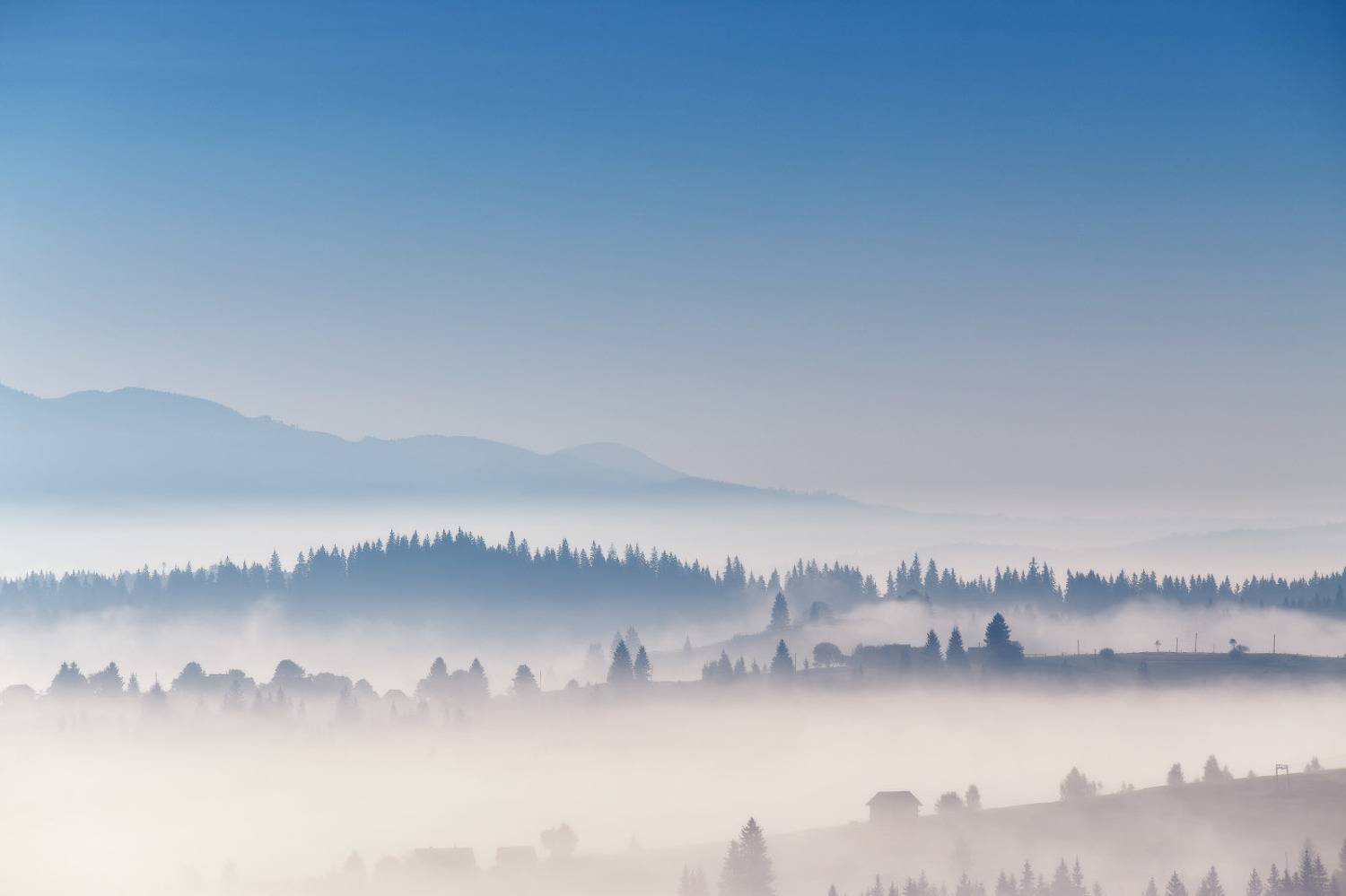 горы, карпаты, осень, рассвет, сентябрь, туман, украина, утро, Вейзе Максим