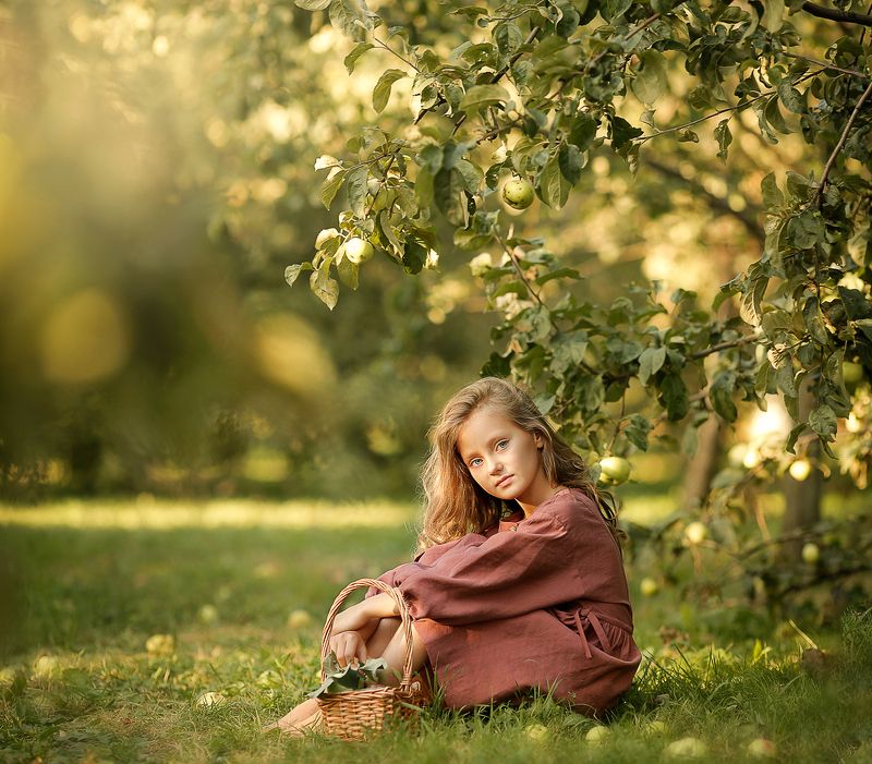 Яблоневый садphoto preview